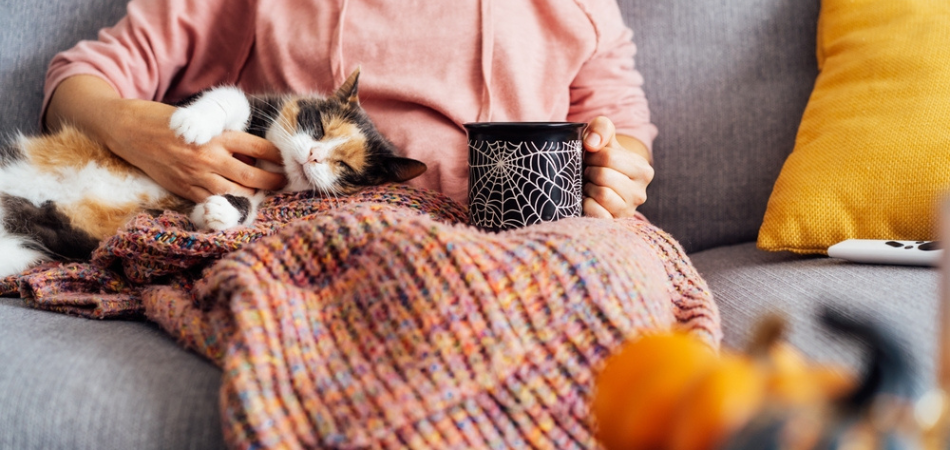 How Pets Can Play An Important Role In Addiction Recovery